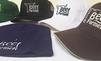 Blog1 másolata másolata